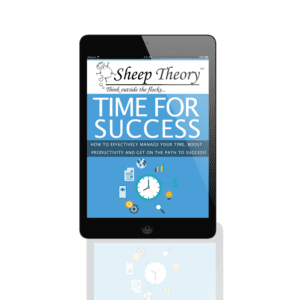 Sheep Theory - Report - Time for success